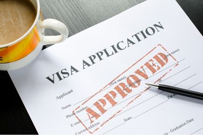 ভিসা পেপার প্রসেসিং